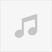 System.Inc & Jax Jones & Stefflon Don - The Don