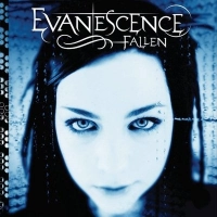 Evanescence - Wasted On You
