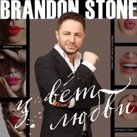 Brandon Stone - Строптивая