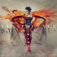 Evanescence - Imperfection